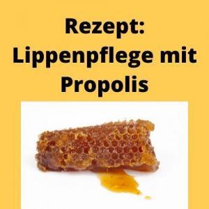 Rezept Lippenpflege mit Propolis