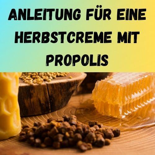 Anleitung für eine Herbstcreme mit Propolis